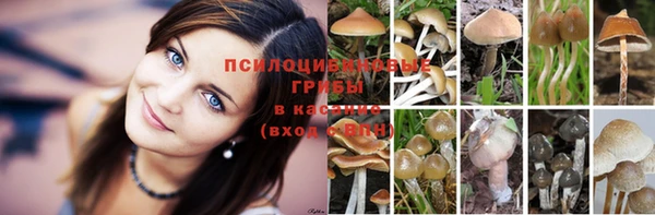 крисы Абинск