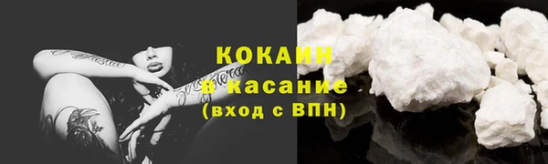 индика Липки